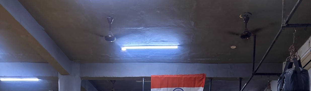 Main image of Lions War Club