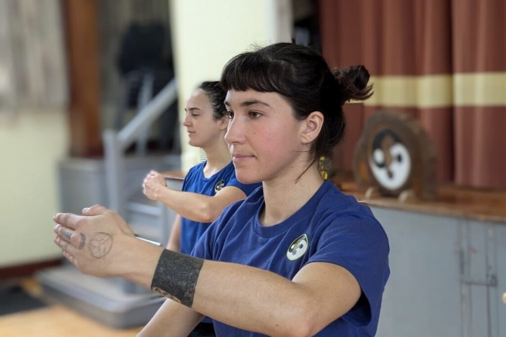 Main image of Lishi Leeds Tai Chi, Yoga, Meditation And Self Defense -Kirkstall