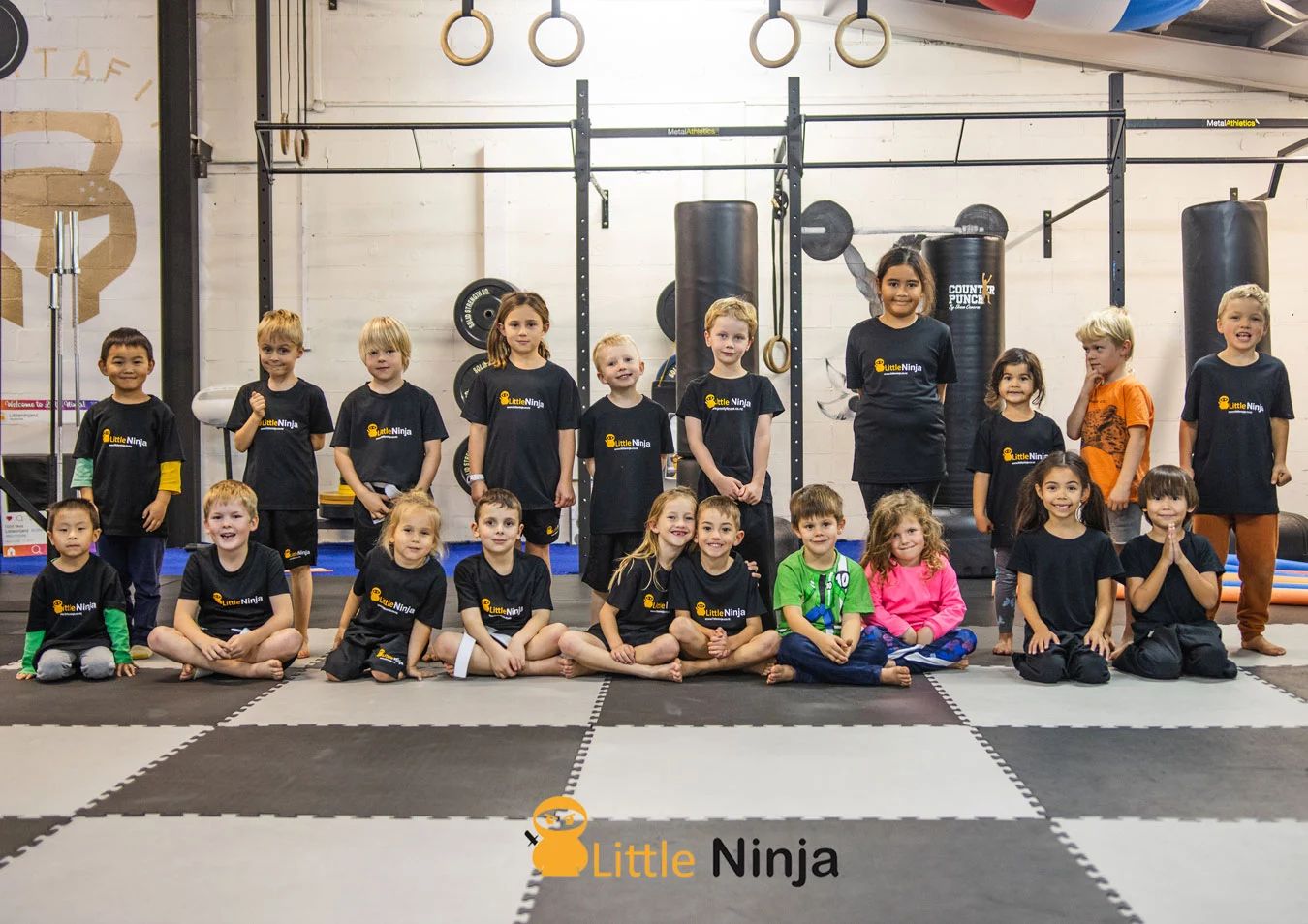 Main image of Little Ninja