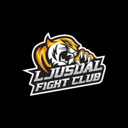 Main image of Ljusdal Fight Club