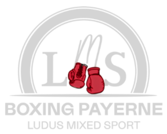 Main image of Lms Boxing Payerne