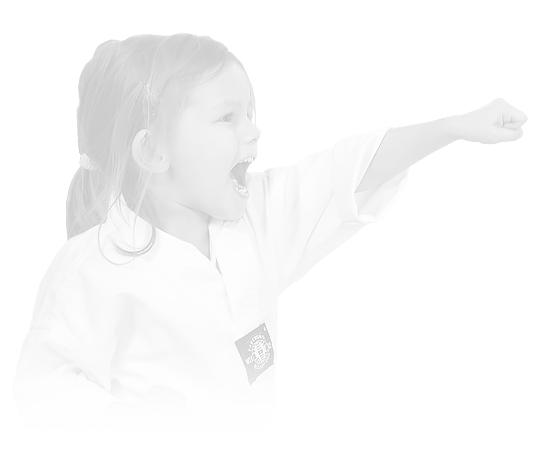 Main image of Lohan Dojo