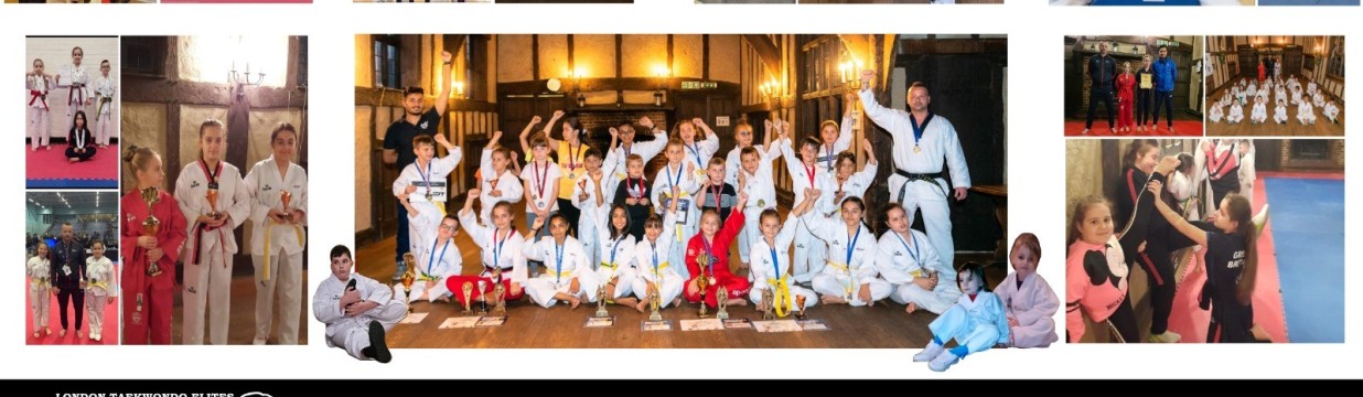 Main image of London Taekwondo Elites
