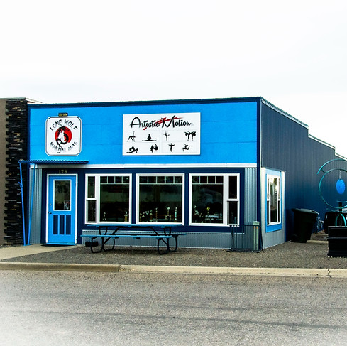 Main image of Lone Wolf Taekwondo LLC
