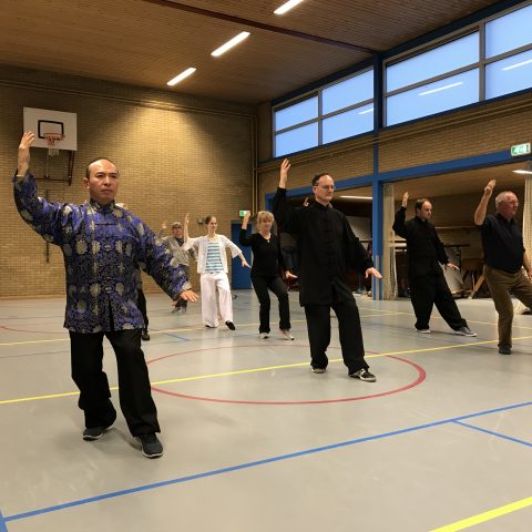 Main image of Long Teng Wushu / Taiji