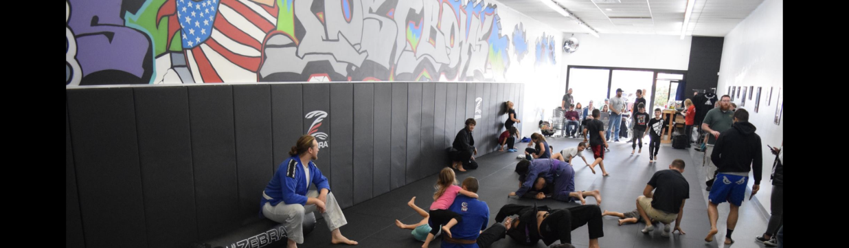 Main image of Lost Boys Jiu Jitsu