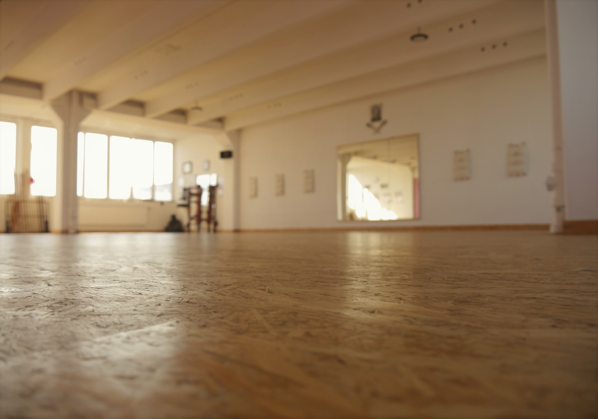 Main image of Lotus Kampfkunstschule