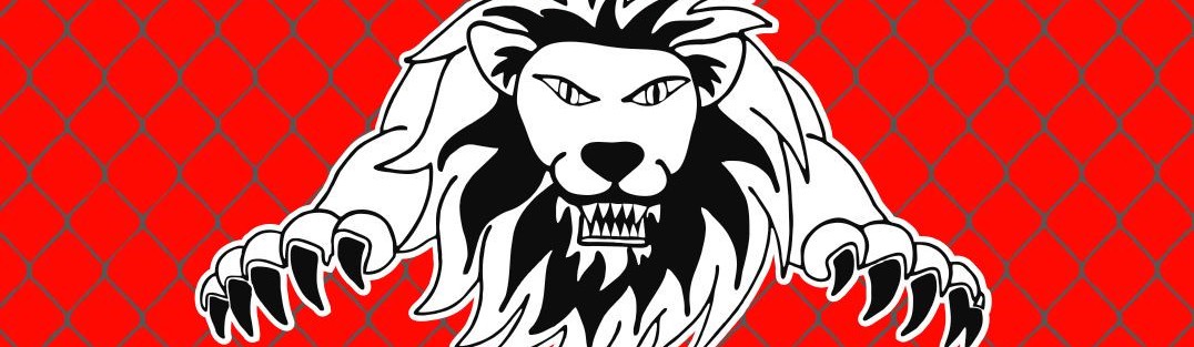 Main image of Löwen MMA Academy Braunschweig