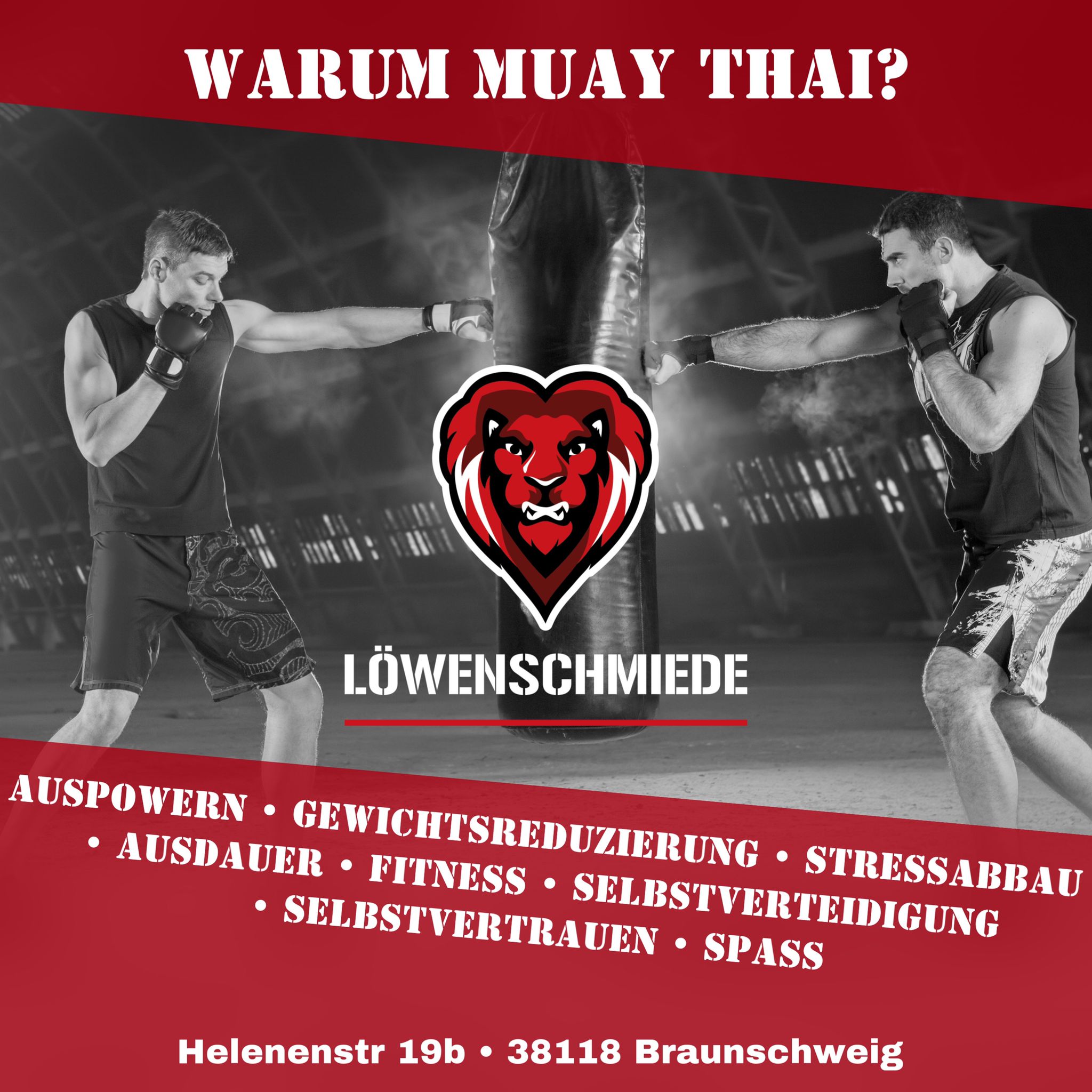 Main image of Löwenschmiede | Krav Maga und Muay Thai Braunschweig