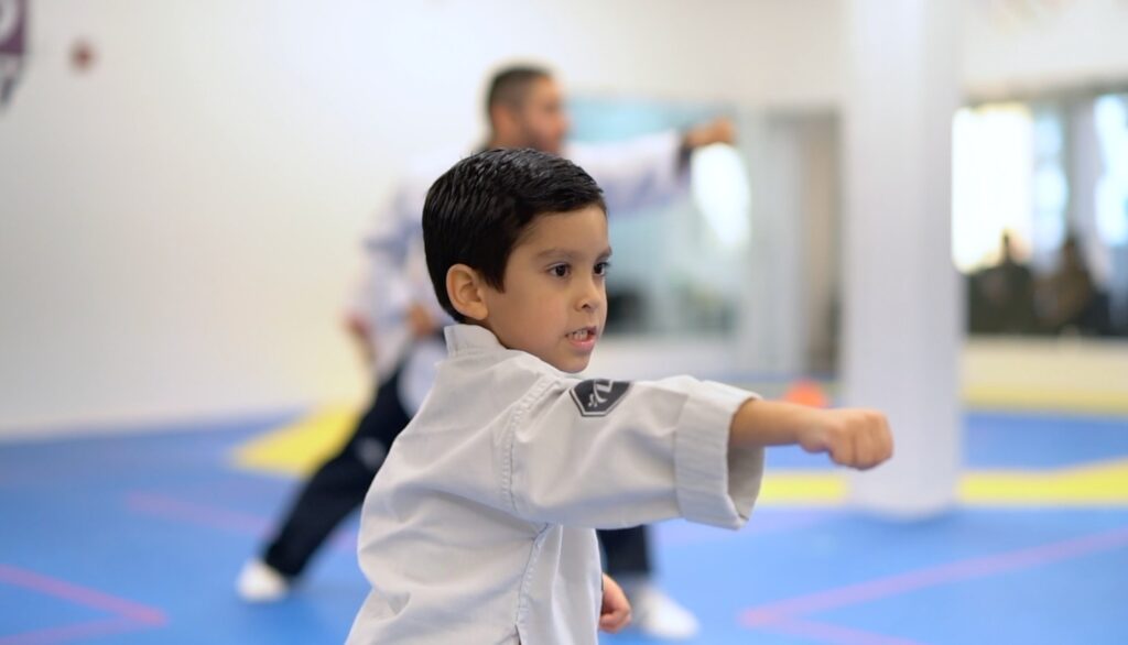 Main image of LS Taekwondo