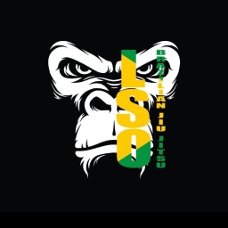 Main image of LSO BJJ