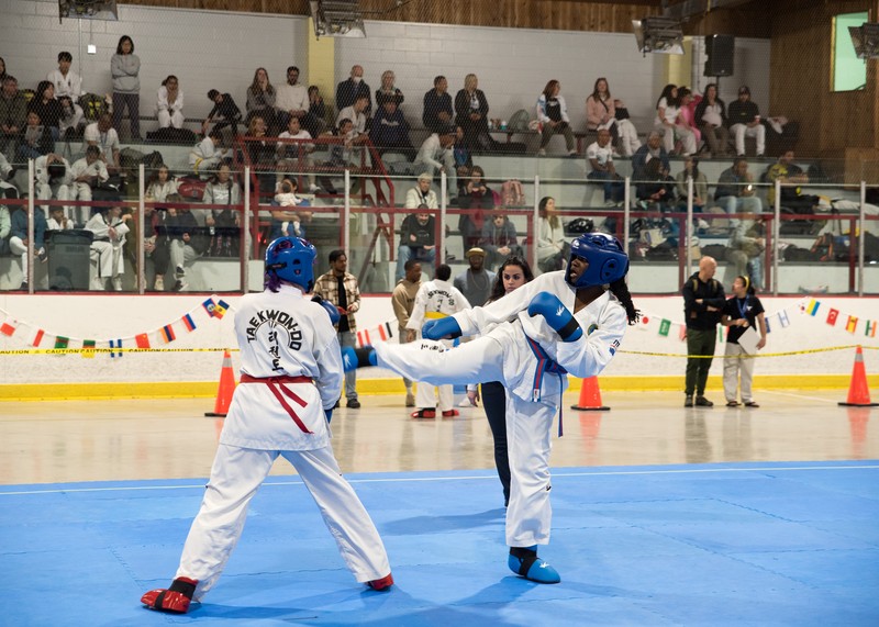 Main image of Lu's Taekwondo