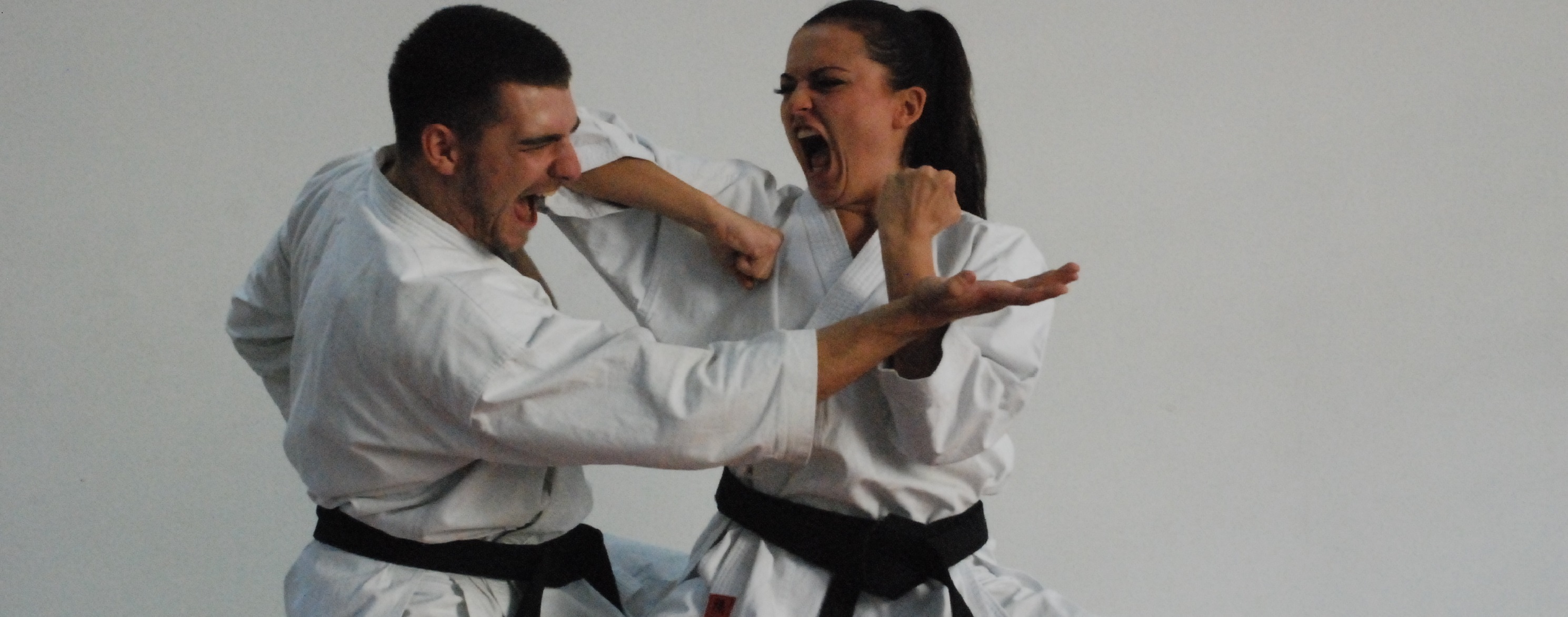Main image of Lublin Traditional Karate Club