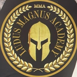 Main image of Ludus magnus academy