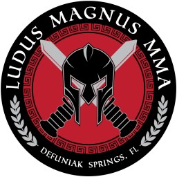 Main image of Ludus Magnus MMA