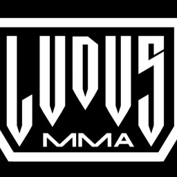 Main image of LUDUS MMA MICHOACÁN