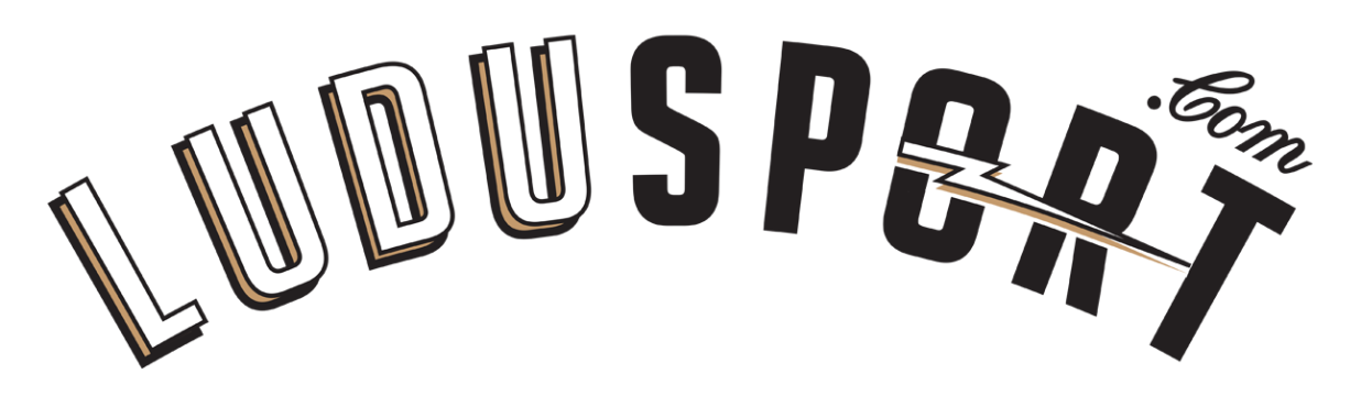 Main image of Ludusport Academy & Gym