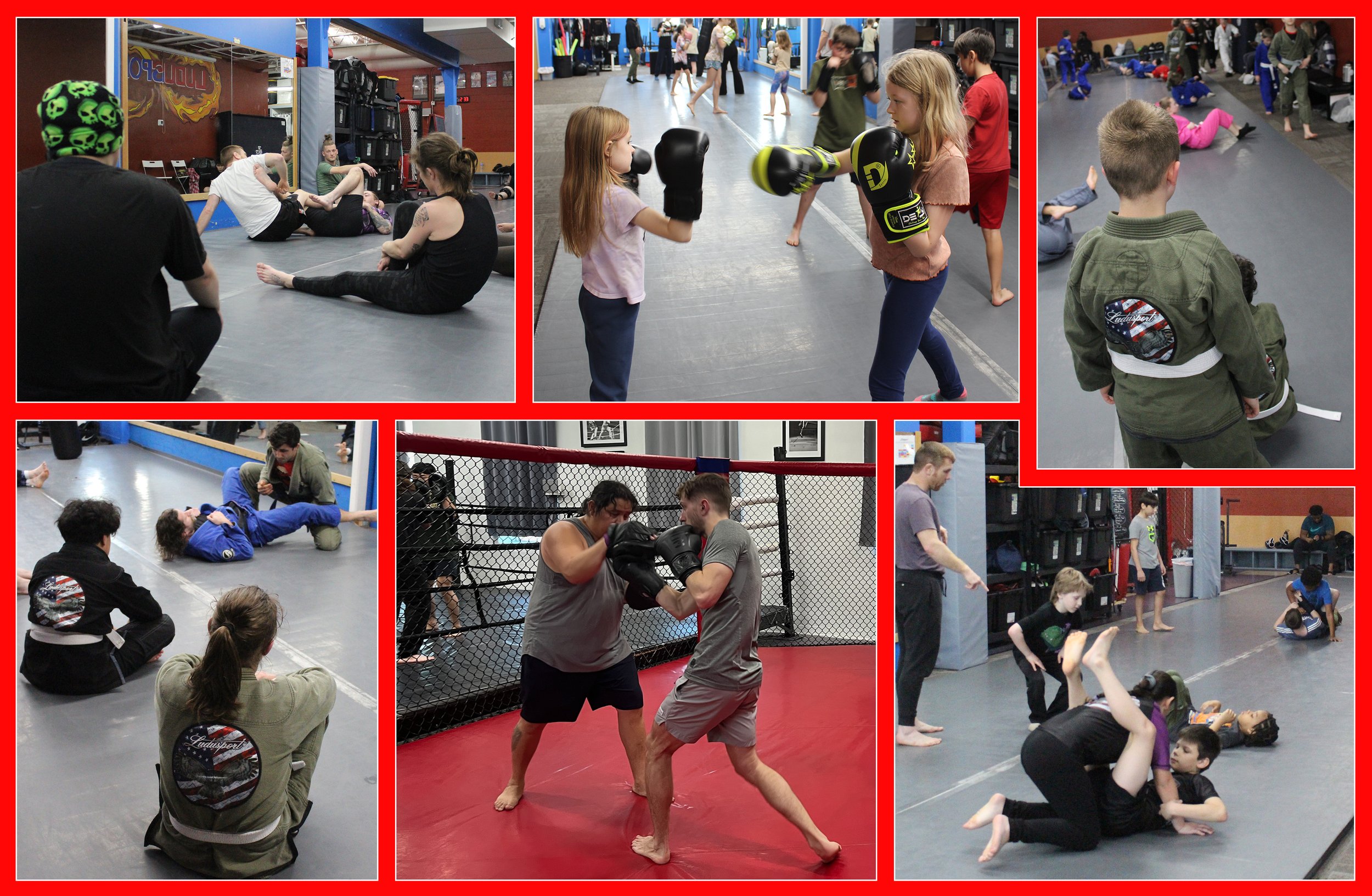 Ludusport Academy & Gym