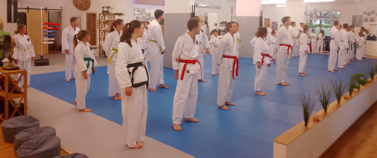 Main image of Ludwig Hegner Taekwon-Do Schule