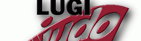 Main image of Lugi Judo