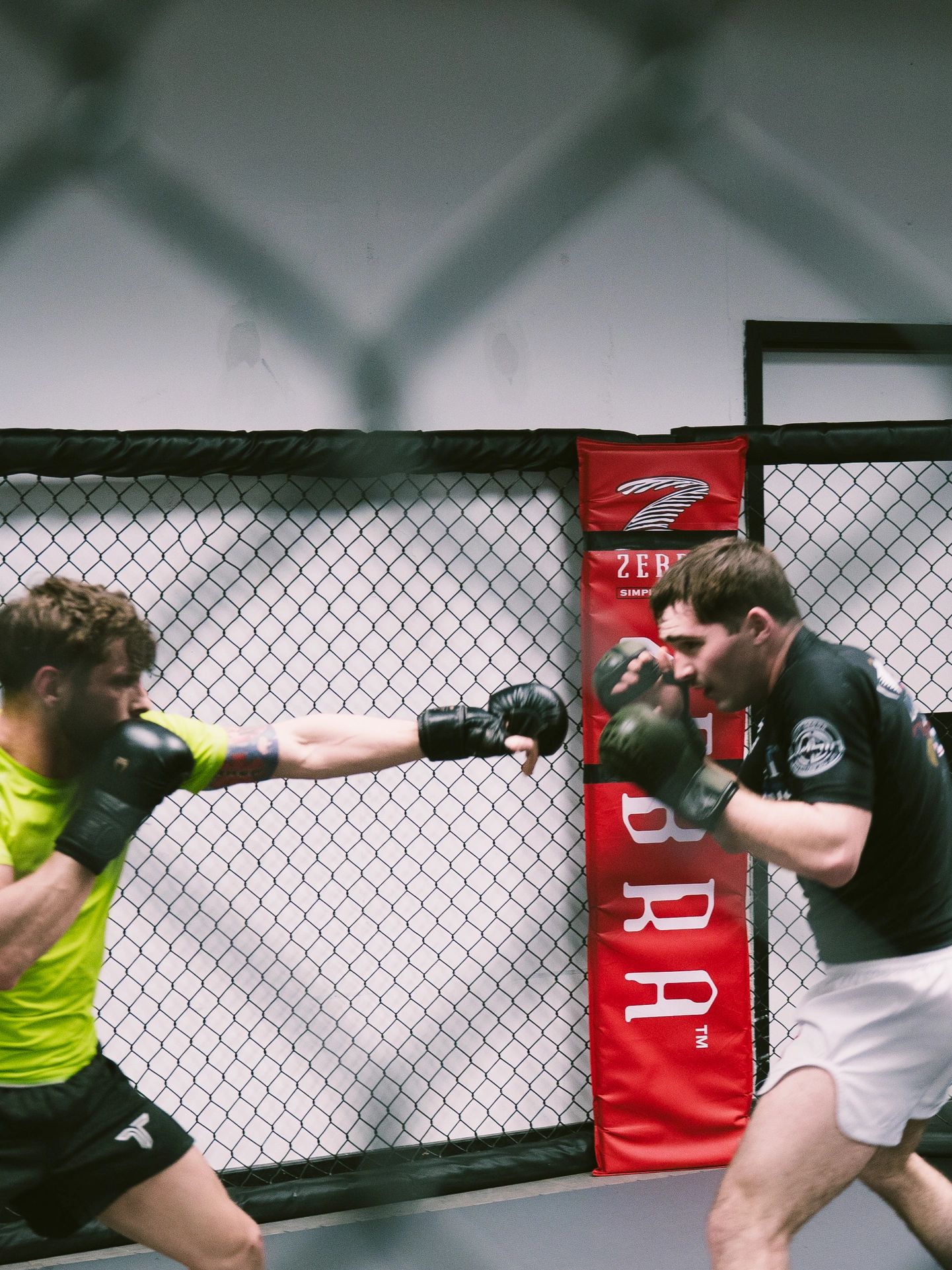 Lumber City Combat Sports
