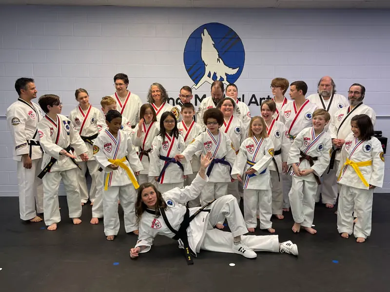 Main image of Lunar Martial Arts