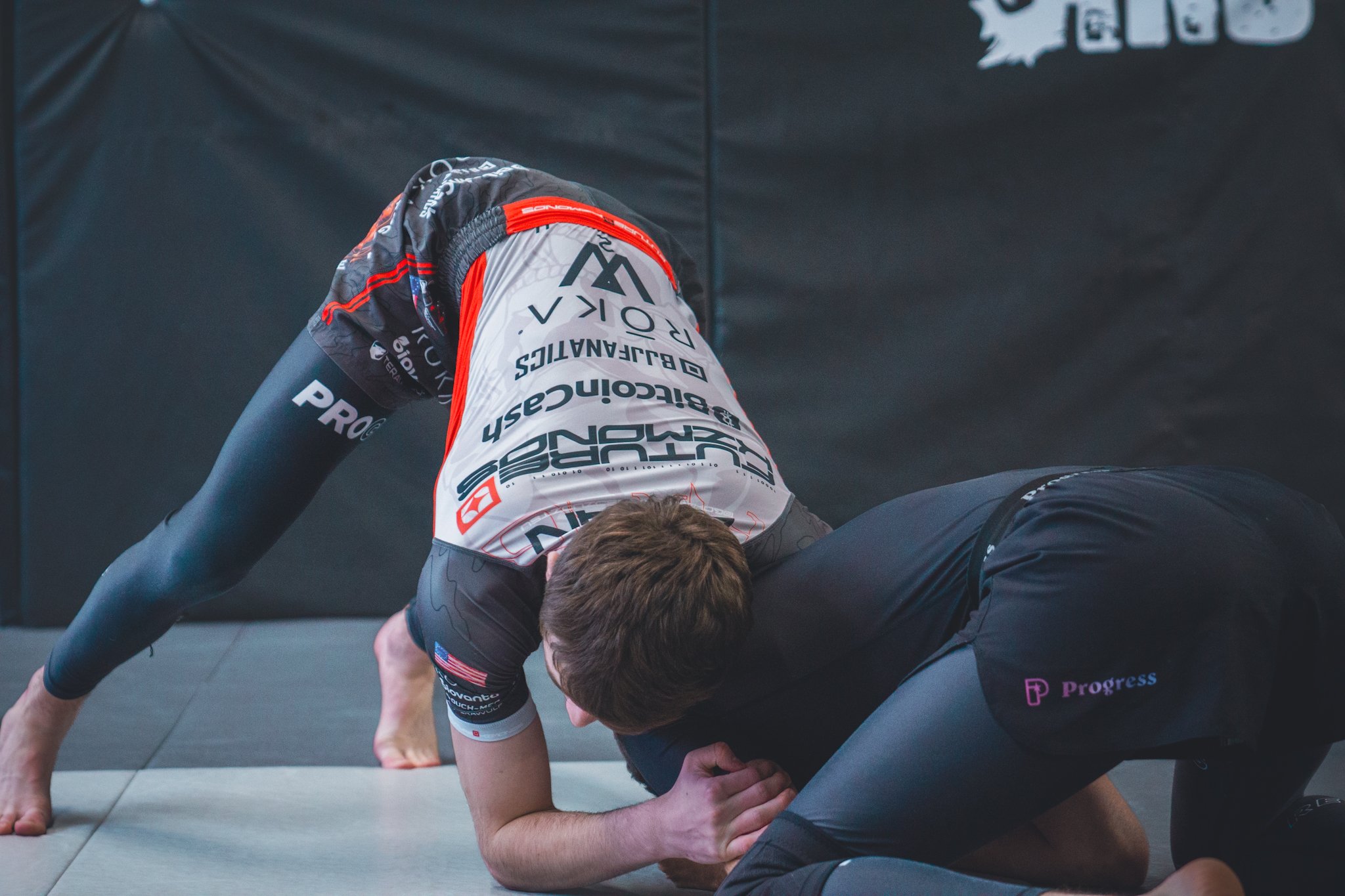 Main image of Lycans Martial Arts
