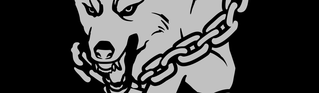 Main image of Lykos 871 BJJ