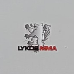 Main image of Lykos MMA