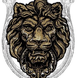 Main image of Lyons mma
