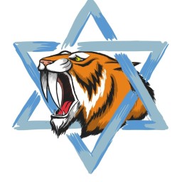Main image of Macabi Nof hagalil
