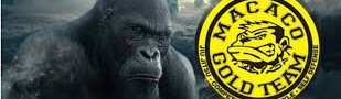 Main image of Macaco Gold Team NSB