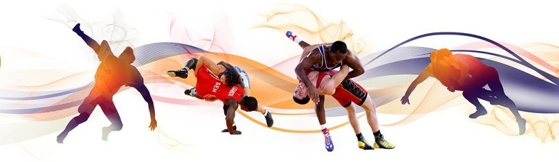 Main image of Maccabi Kfar Galim Wrestling School