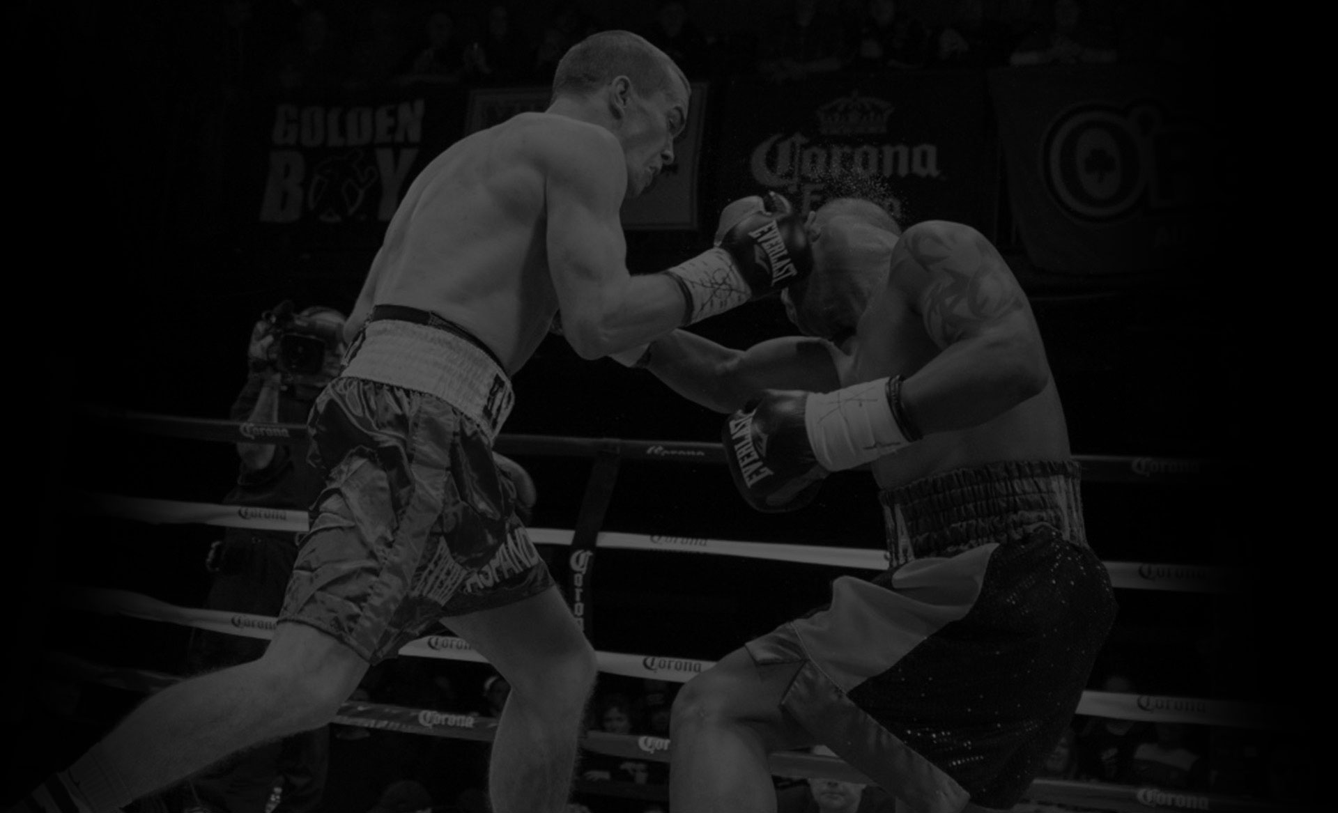 Main image of Madra Mor Boxing Academy