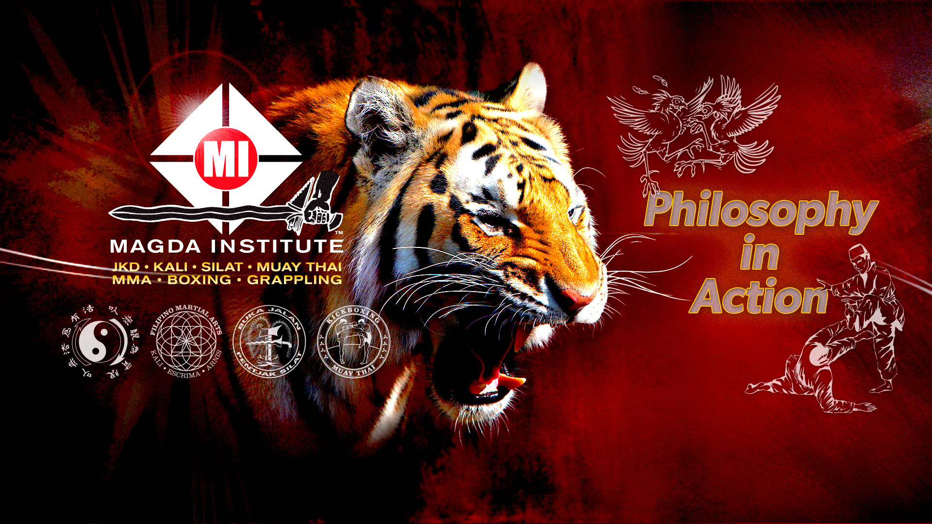 Main image of Magda Institute