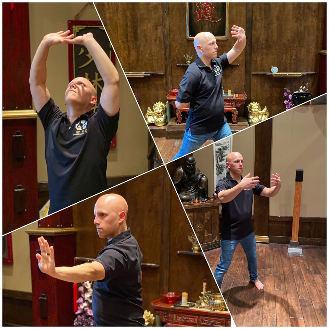 Main image of Magnus Karate