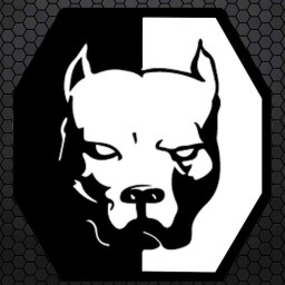 Main image of Maitland MMA