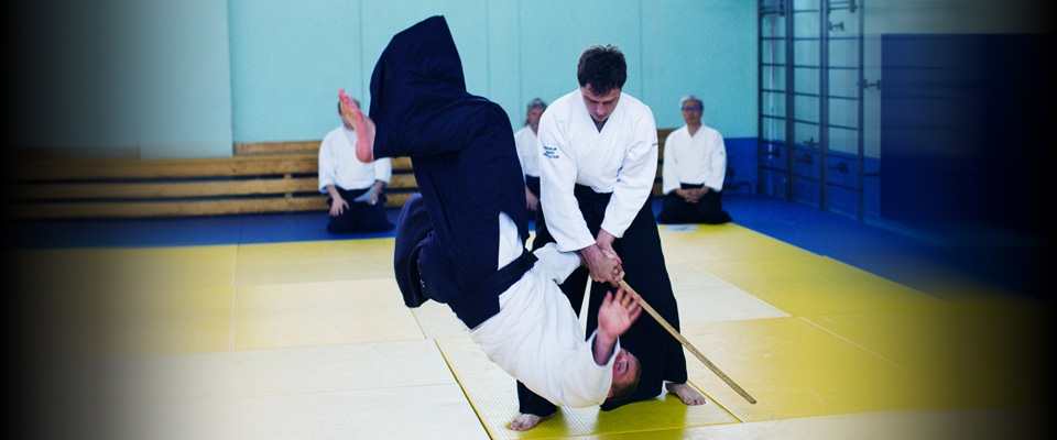 Main image of Makoto Dojo