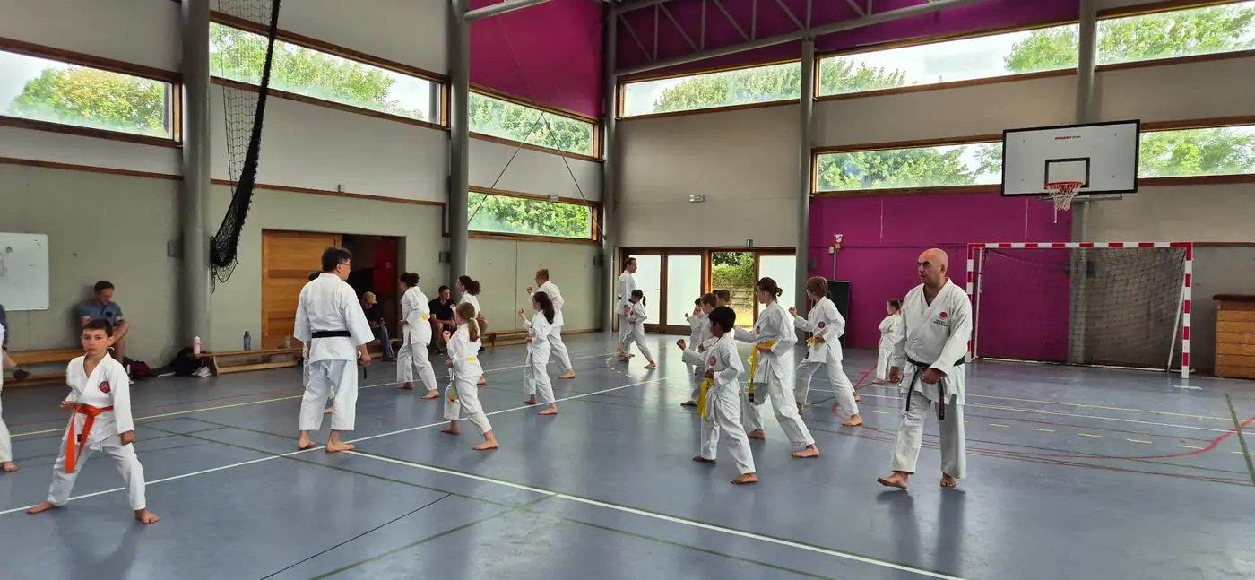 Main image of Makoto Karaté Club Nivelles