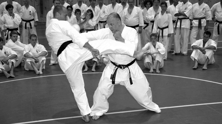 Main image of Makotokai Italia