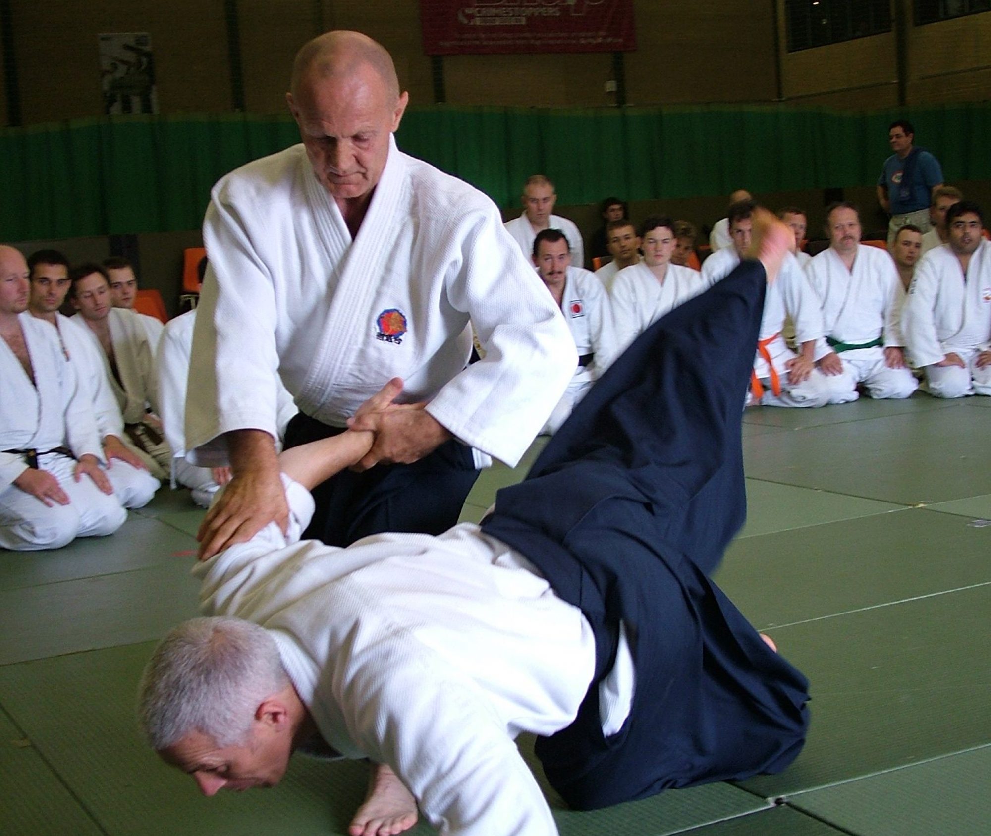 Main image of Makotokan Aikido
