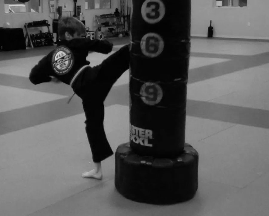 Main image of Makowski's Martial Arts & Fitness