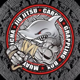 Main image of Malosos MMA