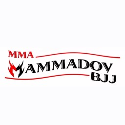 Main image of MAMMADOV MMA-BJJ