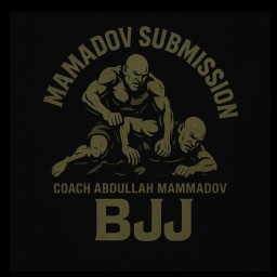 Main image of Mammadov submisson