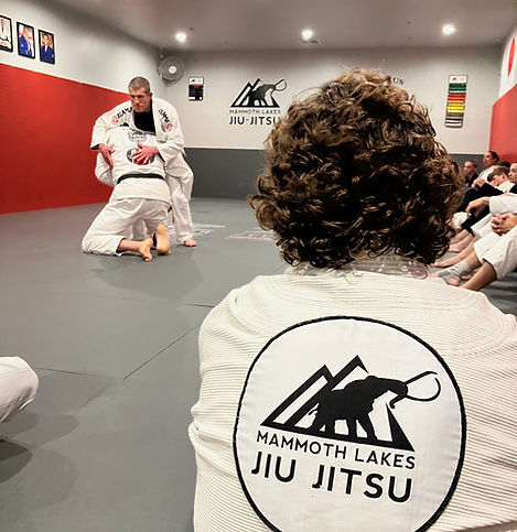 Main image of Mammoth Lakes Jiu Jitsu