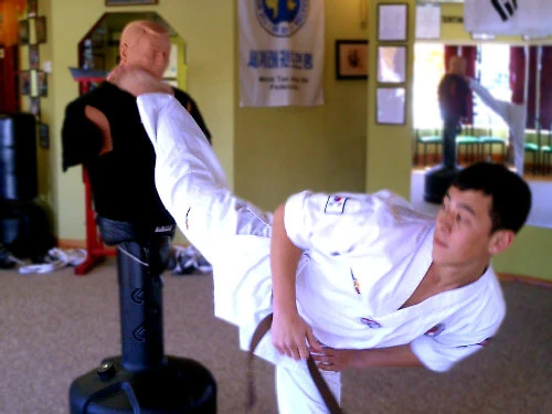 Main image of Man-Son-Hing Martial Arts Academy