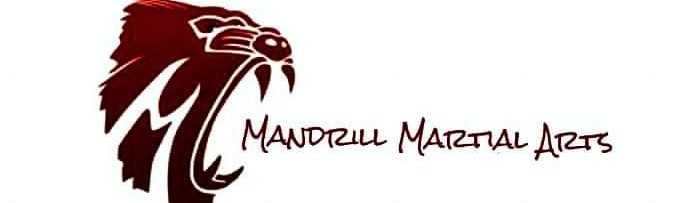 Main image of Mandrill Martial Arts