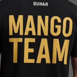Main image of Mango Team