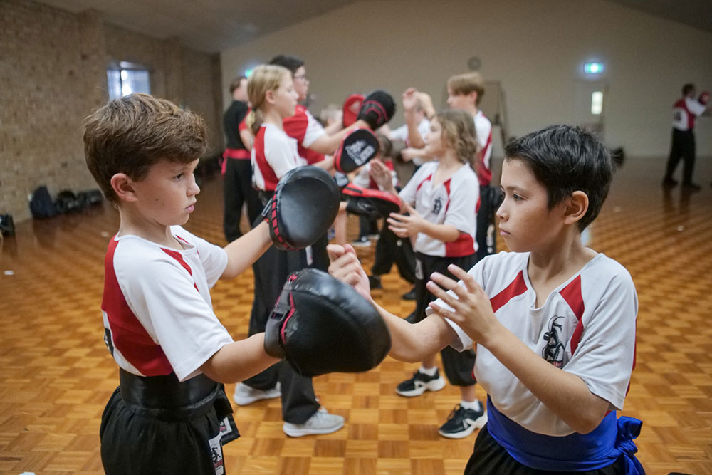 Main image of Mantis Kung Fu